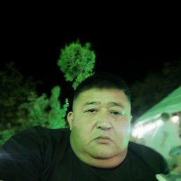 , 48, 