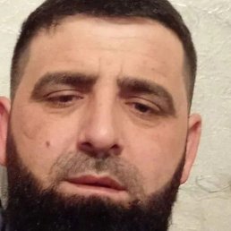 �����, ������, 40 ���