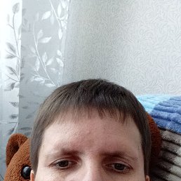 , 41, 