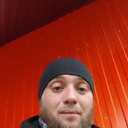 ������, 37 ���, ������