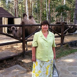 ���� �����, ������, 64 ���� - ��������� 16 ������� 2025