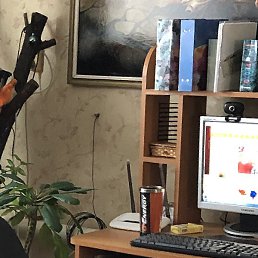 �������, ����, 43 ����