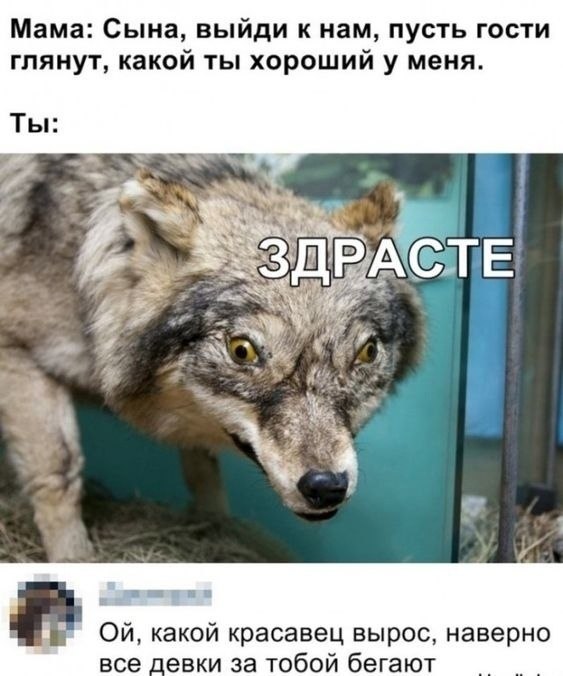 ? ,  ! - 25  2024  19:28