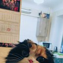 ���� ����, �������, 58 ��� - ��������� 10 ������� 2025 � ������ ������ ��������