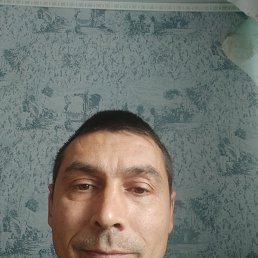 , 42, 