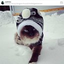 ���� ��������, ������, 59 ��� - ��������� 15 ������ 2025 � ������ ������ ��������