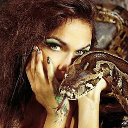 �����������, �����������