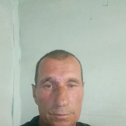, 49 , 