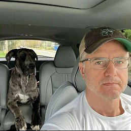 ���������, ������, 66 ���