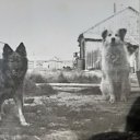 ������ � ������ �� ������� ���� ����������