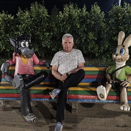 , 66, 