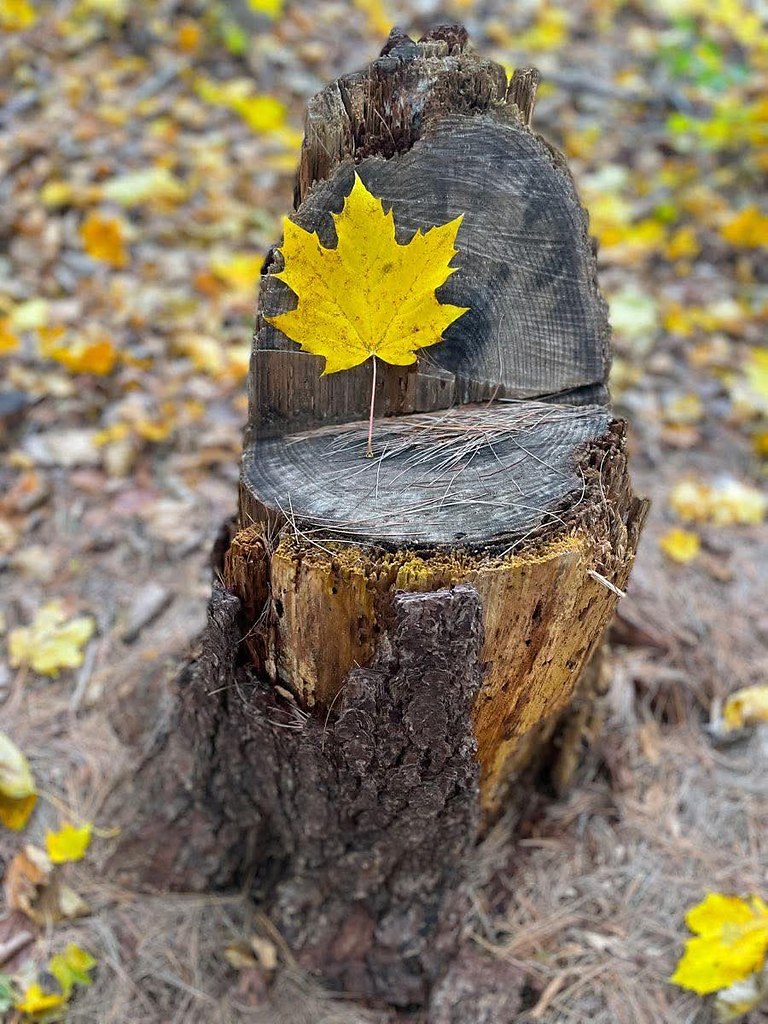   ,    ,  :   ,     ...