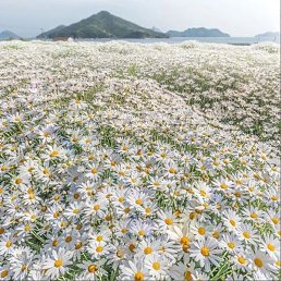 �����, �������, 32 ����