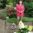 ���� �����, �����, 68 ��� - ��������� 31 ����� 2024 � ������ ���� ����������