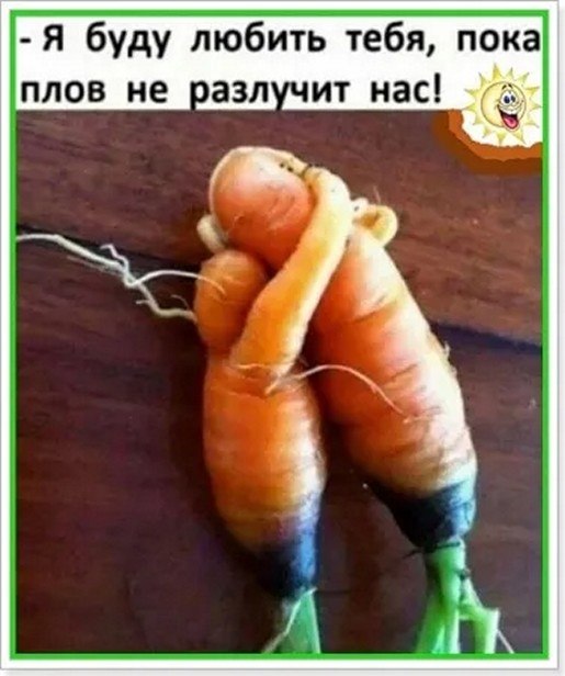 ☆ ☆ - 9  2025  08:20