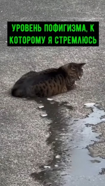  ,    !      ,     ... - 2