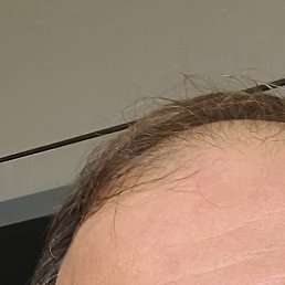 ����������, �����-���������, 42 ����