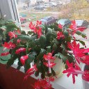 ���� ������, ������ �����, 63 ���� - ��������� 6 ���� 2025 � ������ ���� ����������
