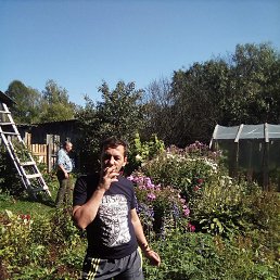 ���� �������, ���������, 55 ��� - ��������� 9 ������ 2026