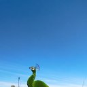 ���� ���������, �����, 43 ���� - ��������� 25 ��� 2025 � ������ ���� ����������