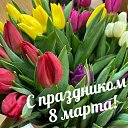 ���� �������, ������������, 64 ���� - ��������� 8 ����� 2026 � ������ ������ ��������