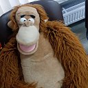 ���� �����, ���������, 39 ��� - ��������� 19 ������� 2025