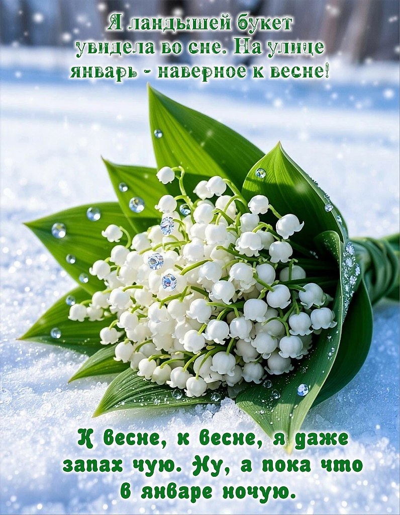 �������� ������ - 26 ������ 2026 � 12:59