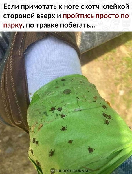 То можно раз и навсегда перехотеть выходить на улицу.Ситуация, конечно, неприятная...