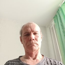 , 65 , 