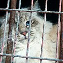 ���� �����, �����������, 56 ��� - ��������� 16 ����� 2025 � ������ ���� ����������