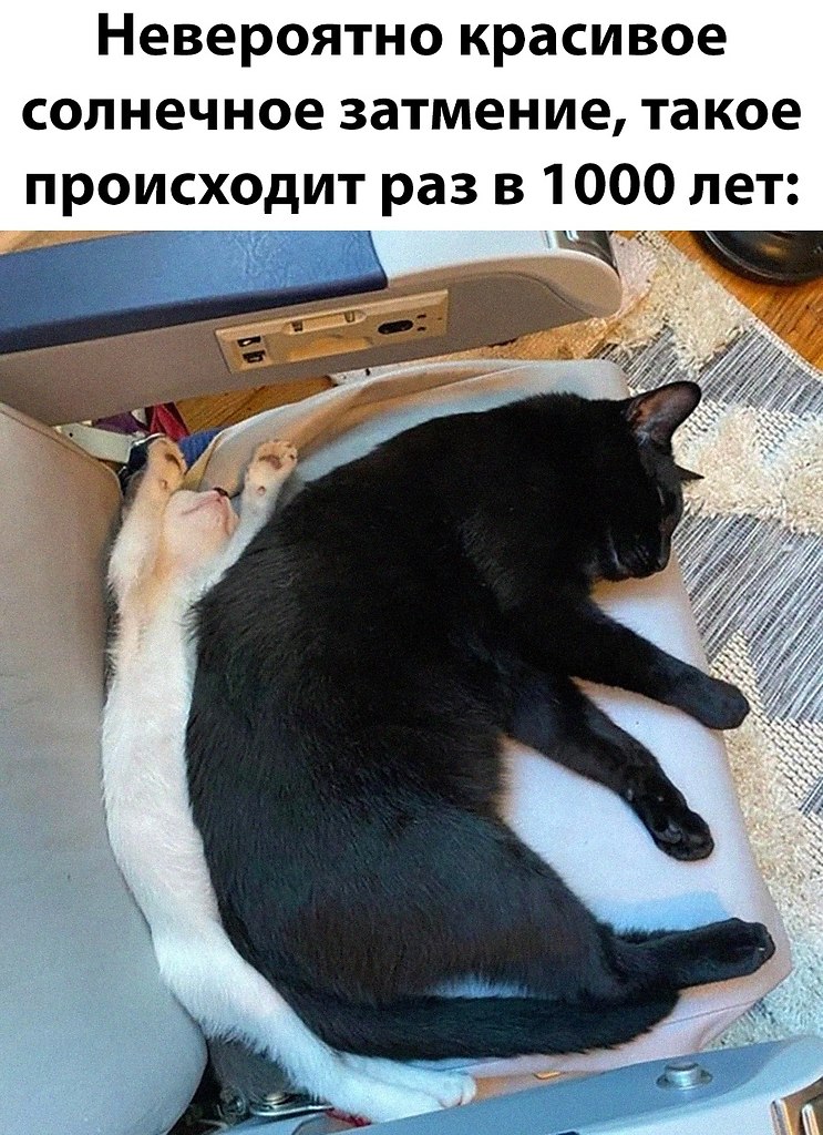 ��� �������� �������� - 1 ������� 2025 � 12:35