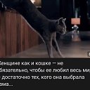 ���� �����, ���� - ��������� 14 ���� 2026 � ������ ���� ����������