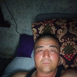  , 43, 