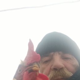 ������, 60 ���, ��������