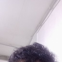 ���� �������� �����, ������, 33 ���� - ��������� 2 ������ 2024