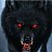 ���� Wolf, ������, 53 ���� - ��������� 22 ������ 2025
