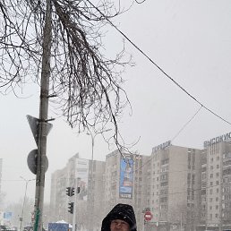 ���� �����, �����������, 48 ��� - ��������� 14 ������� 2024