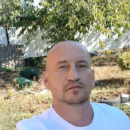, 39, 
