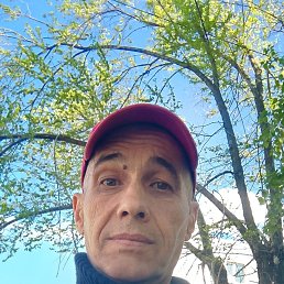 , 53, 
