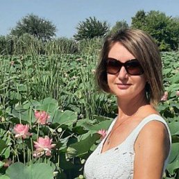 ���� �����, ���������� - ��������� 1 ������ 2026