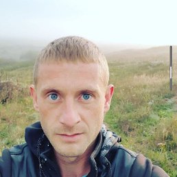 , 37, 
