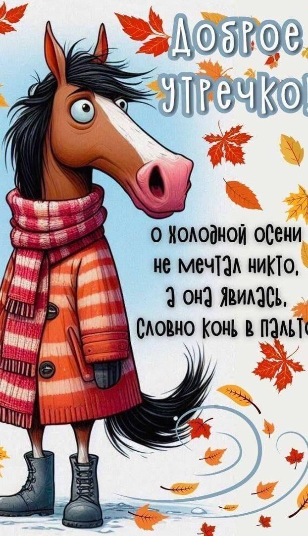 ***Victoria Viktorovna*** - 9  2025  05:19