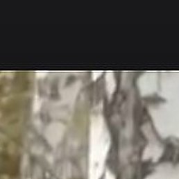 ������, ���������, 55 ���