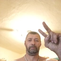 , 48, 