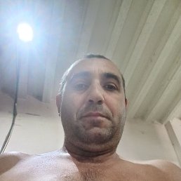, 41 , 