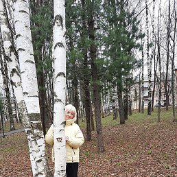 , 61, 
