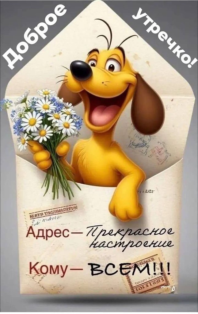 " ") - 14  2025  08:39