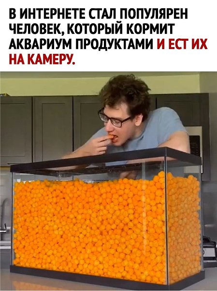  - 22  2024  15:09 - 2