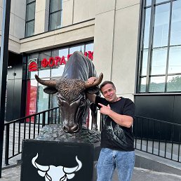 �������, 43 ����, ���������