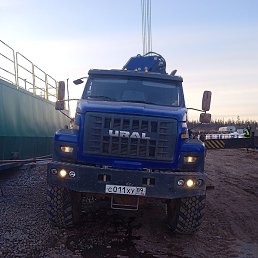 �����, �����������, 61 ���